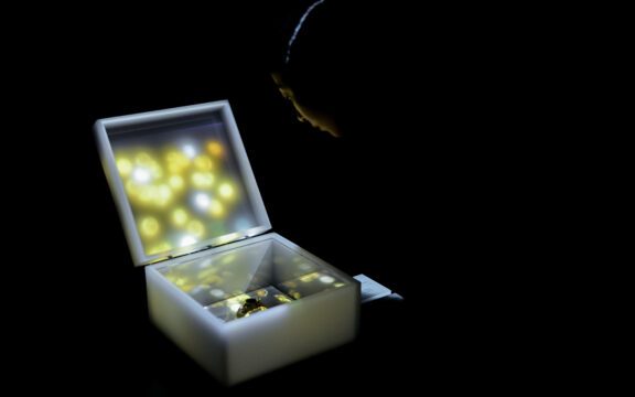 BVLGARI "Jewelry Light Box"(3)