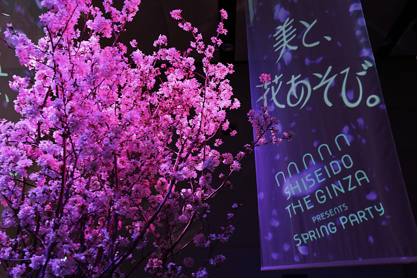 Shiseido Spring Party 2014(2)